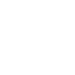 ce logo Santa Ana