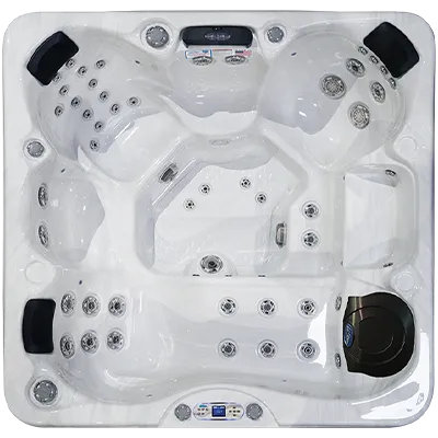 Avalon EC-849L hot tubs for sale in Santa Ana