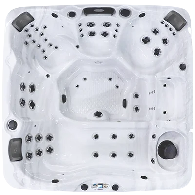 Avalon EC-867L hot tubs for sale in Santa Ana